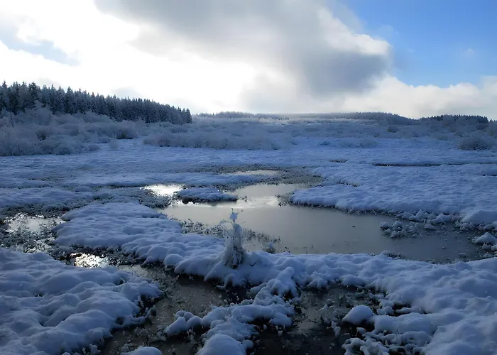 Zum Vennbiber Monschau