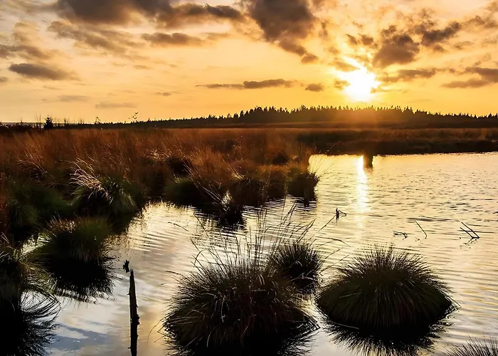 Feriehus Zum Vennbiber *